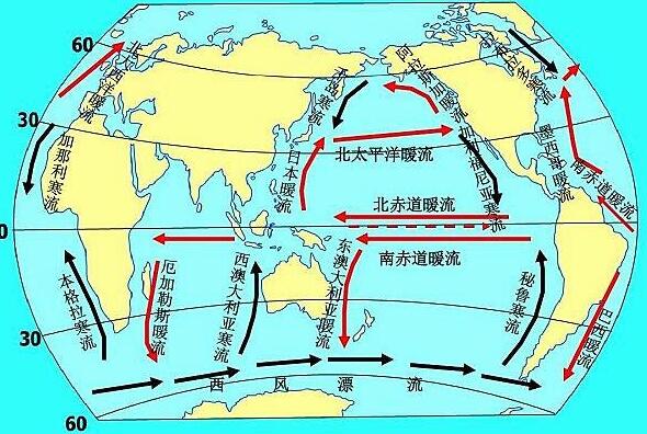 洋流分布图(世界洋流分布示意图简图)