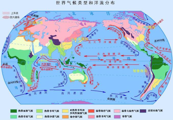 洋流分布图(世界洋流分布示意图简图)